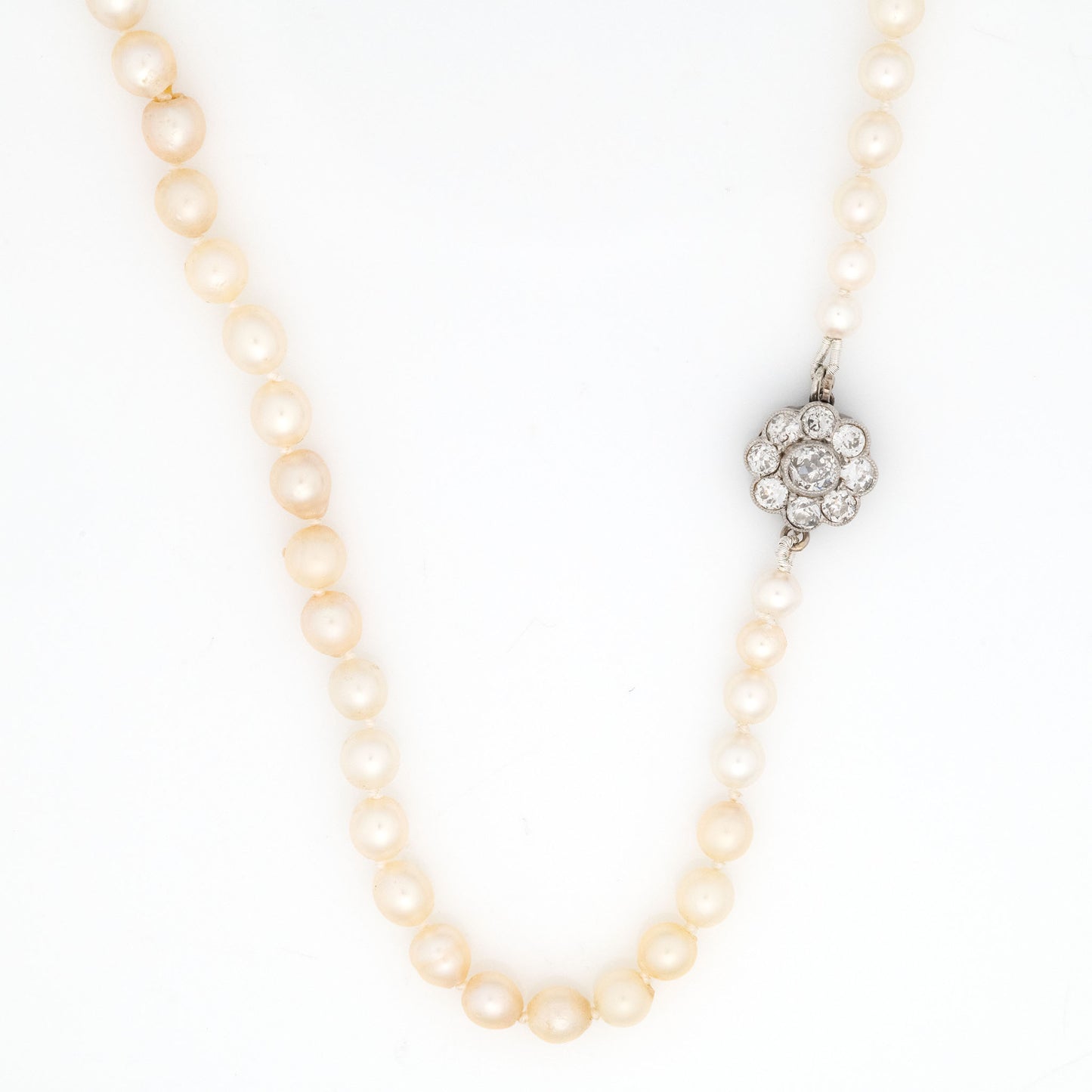 Edwardian Cultured Pearl Single Strand Necklace - Friar House
