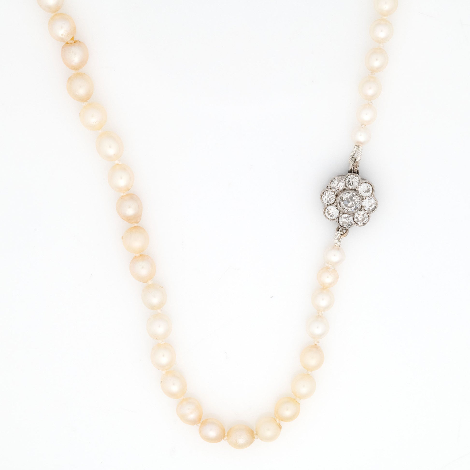 Edwardian Cultured Pearl Single Strand Necklace - Friar House