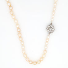 Edwardian Cultured Pearl Single Strand Necklace - Friar House