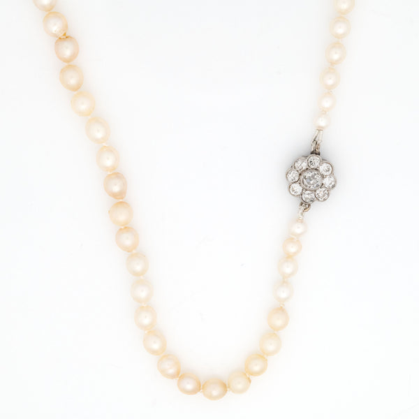 Edwardian Cultured Pearl Single Strand Necklace - Friar House