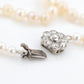 Edwardian Cultured Pearl Single Strand Necklace - Friar House