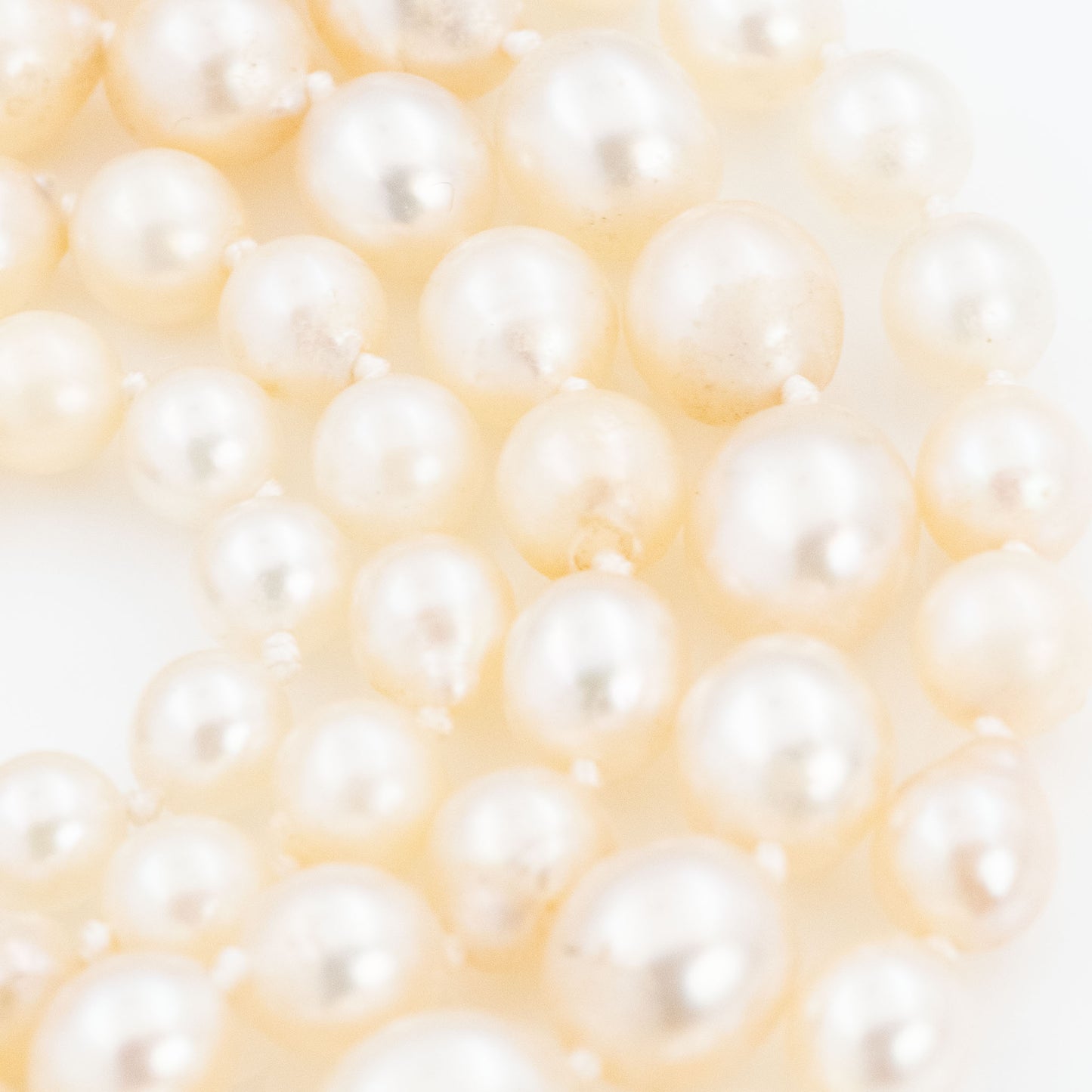 Edwardian Cultured Pearl Single Strand Necklace - Friar House